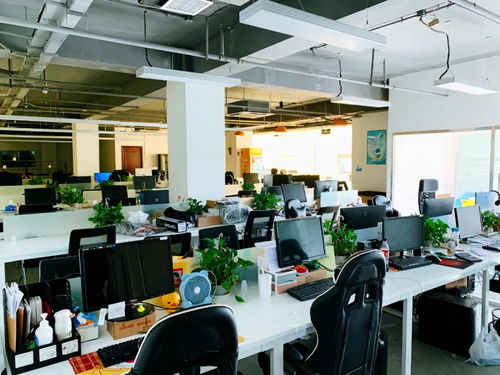 移動(dòng)互聯(lián)網(wǎng)視角下的深海教育 研發(fā)與維護(hù)如何塑造行業(yè)口碑