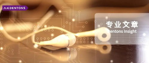 在線音頻行業(yè)移動(dòng)互聯(lián)網(wǎng)應(yīng)用程序的刑事合規(guī)分析研究——聚焦研發(fā)與維護(hù)環(huán)節(jié)